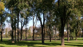 EXPO / TRENNO, STORIE DI DEMENZIALE GESTIONE