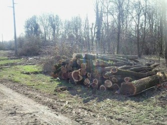 EXPO DIMEZZA I PARCHI, CITTADINI ARRABBIATI