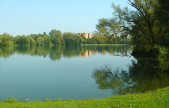 L’ASSEDIO DEL CEMENTO AL “PARCO PETRARCA” 1a puntata