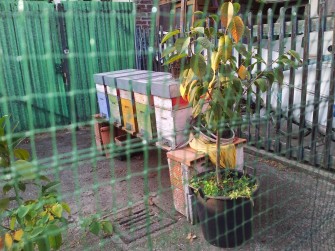 KM 0, IL MIELE DI UN PARCO AGRICOLO-URBANO