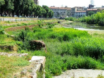 LA NUOVA DARSENA? UN ECO-MOSTRO