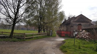 LA TOMBA DEL TEOLOGO (1808)