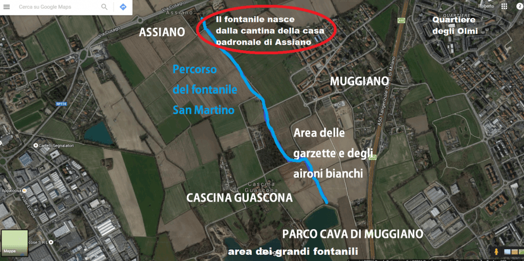L'ecosistema del borgo di Assiano, di fatto è il parco degli aironi di Milano