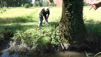 Il “medico” naturalista al parco del Ticinello