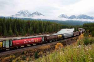 Un treno canadese carico di frumento ogm