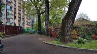 Calvairate/Via Tertulliano: pioppi secolari con cascina e fontanile