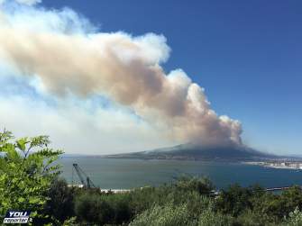 Sciolgono il Corpo forestale e le foreste vanno in fumo