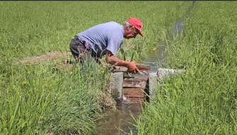 “STORIE D’ACQUA”, di G. Pagani: rive milanesi degne dell’Unesco