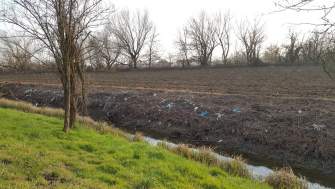 IL VERDE DI MILANO NON HA IL SUO ASSESSORE, E SI VEDE