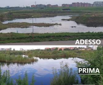 SANTA GIULIA: DISTRUTTA L’OASI RICREATA DALLA NATURA